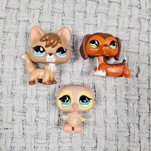 Littlest Pet Shop Savvy Dachshund 673 674 675 Pet Trainin' Park Hasbro LPS